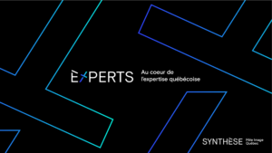 SYNTHÈSE launches a 4th call for projects to enrich its EXPERTS platform EXPERTS