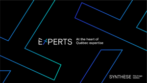 SYNTHÈSE launches a 5th call for projects to enrich its EXPERTS platform EXPERTS