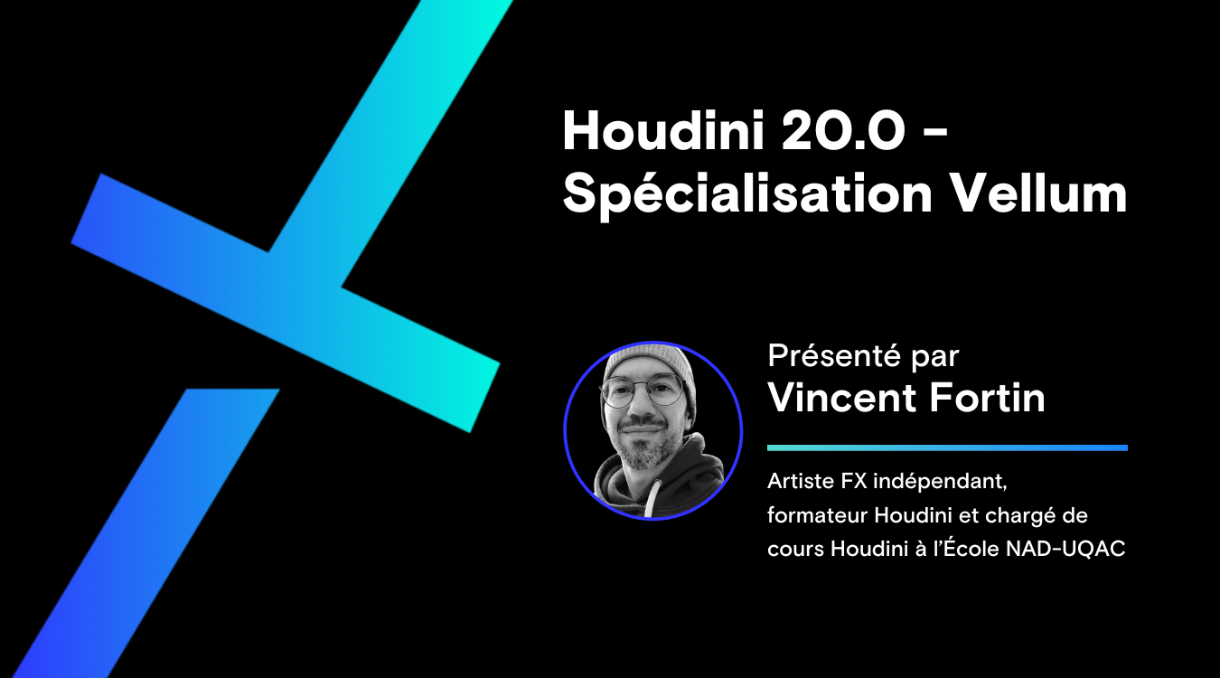 Houdini 20.0 - Spécialisation Vellum