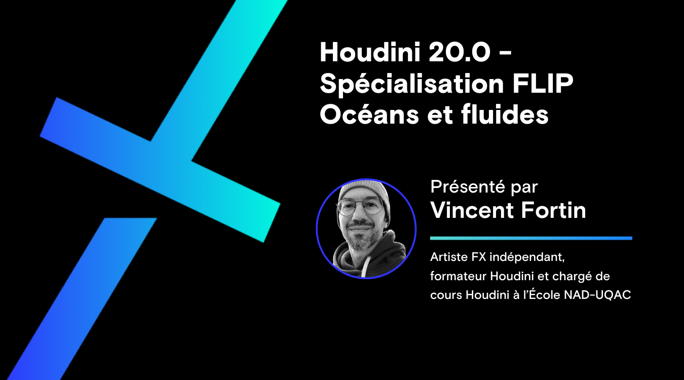 Houdini 20.0 - Spécialisation FLIP Océans et fluides